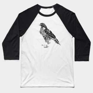 Hawk Baseball T-Shirt